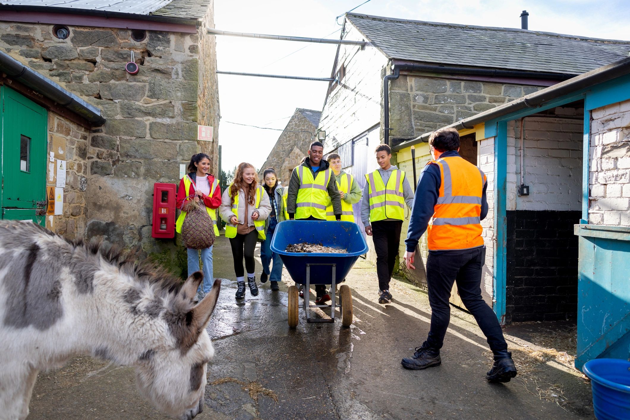Volunteer team working together outdoors